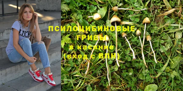 прущая мука Навашино